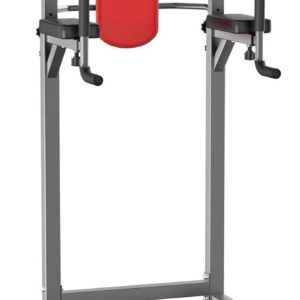 Power Tower Pull-Up & Dip Station